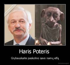 Haris Poteris  - Grybauskaite paskolino savo namų elfą