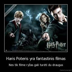 Haris Poteris yra fantastinis filmas - Nes tik filme ryžas gali turėti du draugus