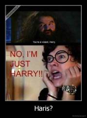 Haris? - 