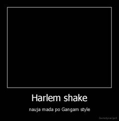 Harlem shake - nauja mada po Gangam style