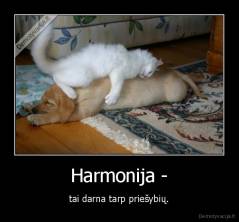 Harmonija - - tai darna tarp priešybių.