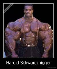 Harold Schwarcznigger - 