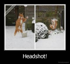 Headshot! - 