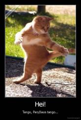 Hei! - Tango, Paryžiaus tango...