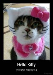 Hello Kitty - kiekvienas mato savaip