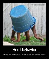 Herd behavior - describes how individuals in a group can act together without planned direction