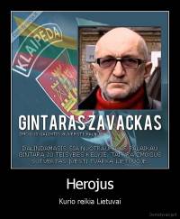 Herojus - Kurio reikia Lietuvai