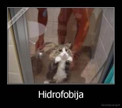 Hidrofobija - 