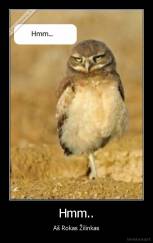 Hmm.. - Aš Rokas Žilinkas