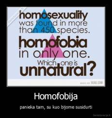 Homofobija - panieka tam, su kuo bijome susidurti