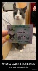 Honkonge gyvūnai turi tokius pasus,  - tai gal jie gali pasiimti greitą kreditą?
