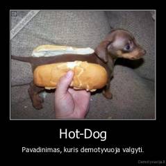 Hot-Dog - Pavadinimas, kuris demotyvuoja valgyti.