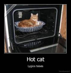 Hot cat - Lygios teisės