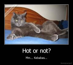 Hot or not? - Mm... Kebabas...