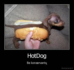 HotDog - Be konservantų