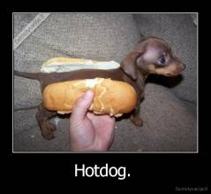 Hotdog.  - 