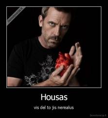 Housas - vis del to jis nerealus