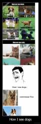 How I see dogs - 