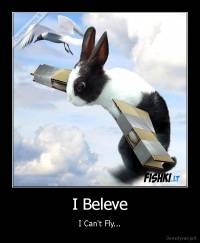 I Beleve - I Can't Fly...