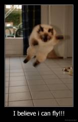 I believe i can fly!!! - 