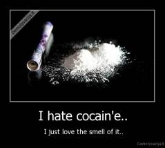 I hate cocain'e.. -  I just love the smell of it..
