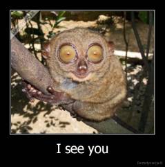 I see you - 