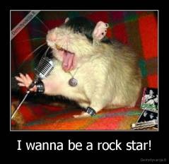 I wanna be a rock star! - 