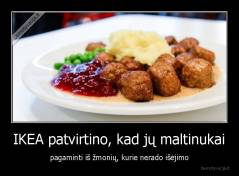 IKEA patvirtino, kad jų maltinukai - pagaminti iš žmonių, kurie nerado išėjimo