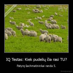 IQ Testas: Kiek pudelių čia rasi TU? - Patyrę šachmatininkai randa 5.