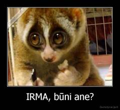 IRMA, būni ane? - 