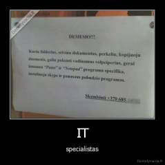 IT - specialistas