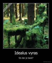 Idealus vyras - Vis dar jo lauki?