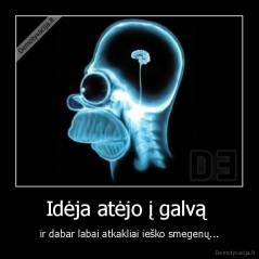 Idėja atėjo į galvą  - ir dabar labai atkakliai ieško smegenų...