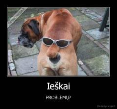 Ieškai - PROBLEMŲ?