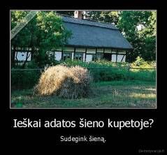 Ieškai adatos šieno kupetoje? - Sudegink šieną.