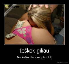 Ieškok giliau - Ten kažkur dar centų turi būt