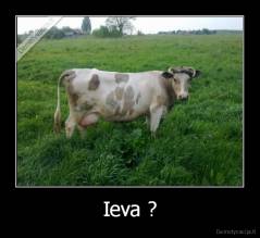 Ieva ? - 