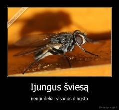 Ijungus šviesą - nenaudeliai visados dingsta