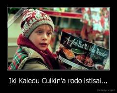Iki Kaledu Culkin'a rodo istisai... - 
