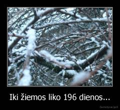 Iki žiemos liko 196 dienos... - 