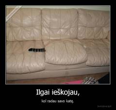 Ilgai ieškojau, - kol radau savo katę.