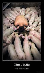 Iliustracija - "Visi vyrai kiaulės"