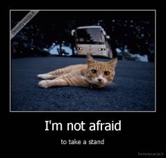 I'm not afraid - to take a stand
