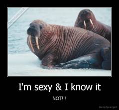 I'm sexy & I know it - NOT!!!