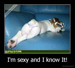 I'm sexy and I know It! - 
