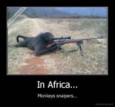 In Africa... - Monkeys snaipers...