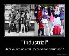 "Industrial" - Kam kalbėti apie tai, ko nė velnio nesupranti?