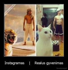 Instagramas    |    Realus gyvenimas - 