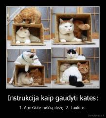 Instrukcija kaip gaudyti kates: - 1. Atneškite tuščią dėžę  2. Laukite..