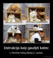 Instrukcija kaip gaudyti kates: - 1. Paimkite tuščią dėžutę 2. Laukite..